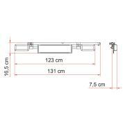 Licence Plate Carrier