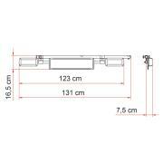 Licence Plate Carrier