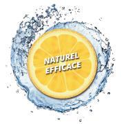 Nettoyant et désinfectant pour eau claire DEXDA Clean : Pour des réservoirs jusqu‘à 60 litres.