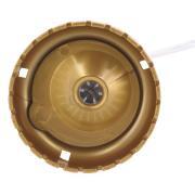 Pompe immergée Auro