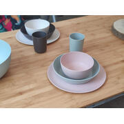 Lot de 4 assiettes plates en PLA