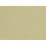 Taie d'oreiller en Lyocell : Beige 40 x 60 cm