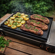 Plancha / Grill pour réchaud à gaz portable 2 feux