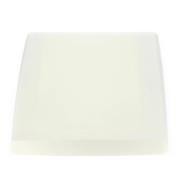 Dôme : Panneau d'écoutille blanc