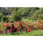 Vélo pliant à assistance électrique Juny : Rouge 17Ah