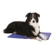 Matelas rafraîchissant pour chien taille L