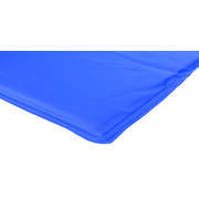 Matelas rafraîchissant pour chien