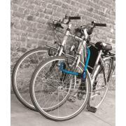 Câble antivol articulé à clé