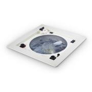 Lanterneau de toit avec ventilateur FanTastic Vent 3350