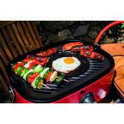 Mini barbecue à gaz portable