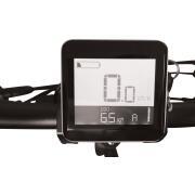 Vélo pliant à assistance électrique Jazzy