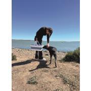 Bassine rétractable avec anses