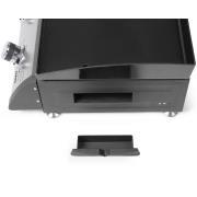 Plancha à gaz 2 brûleurs